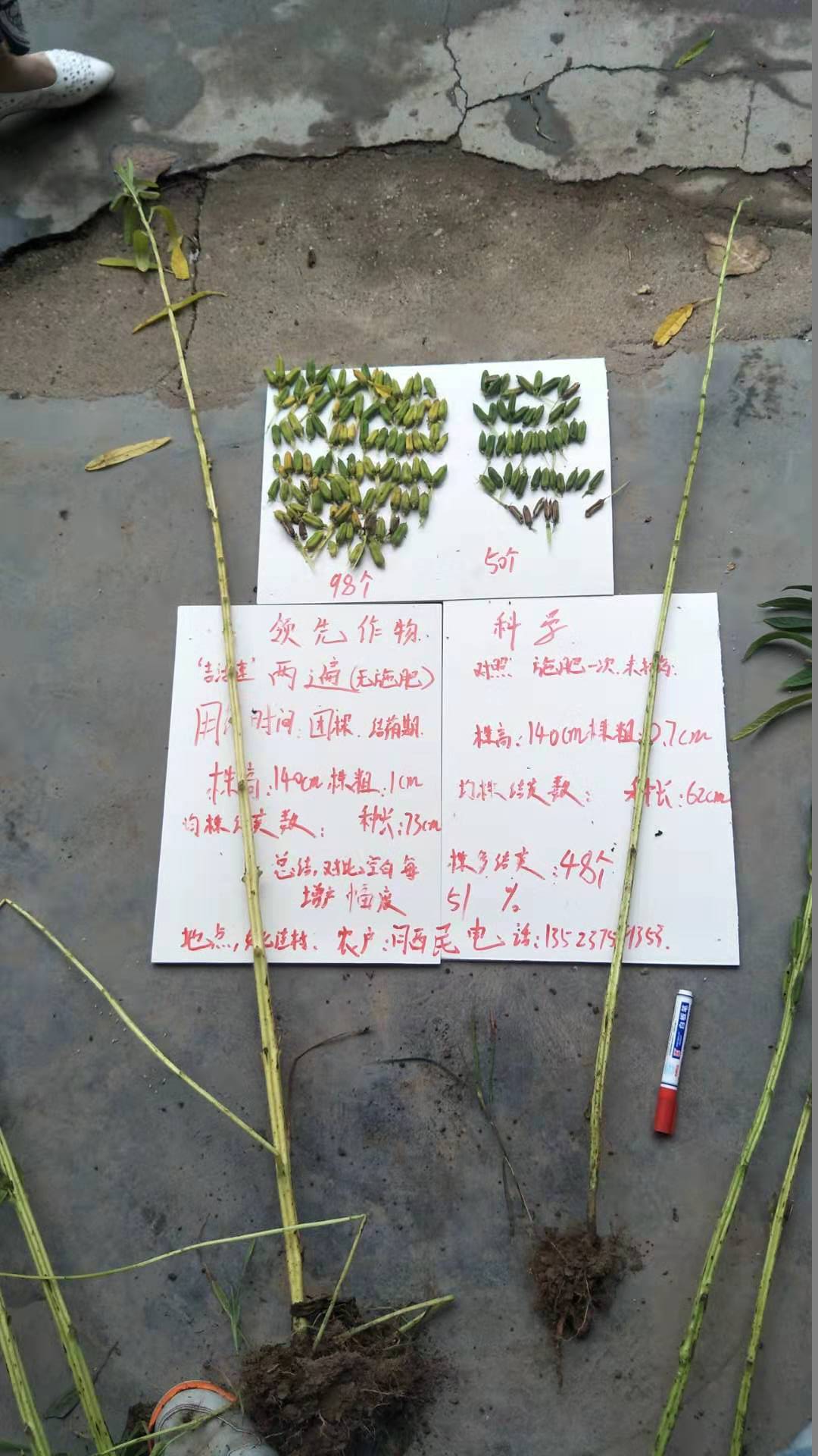 颗粒对比.jpg 颗粒对比.jpg