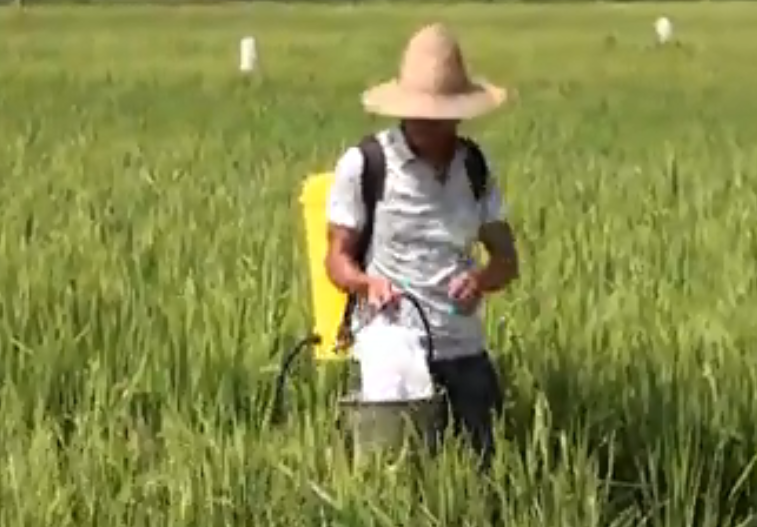 背负式药箱 背负式药箱