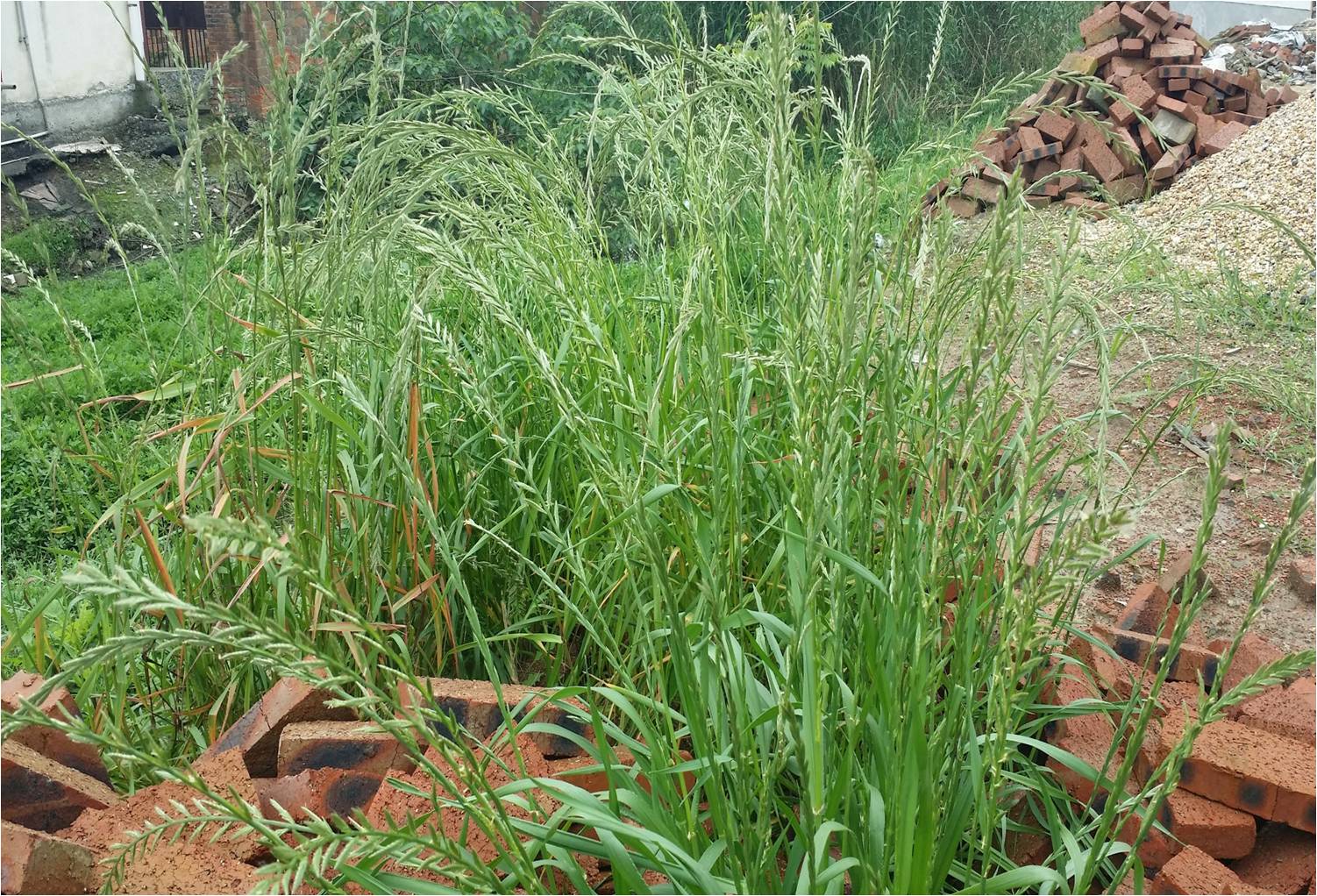 图片41.jpg 图片41.jpg