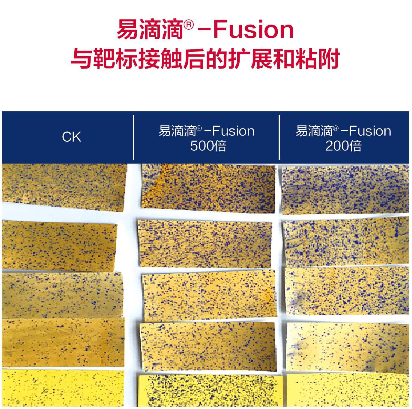 试验对比 试验对比