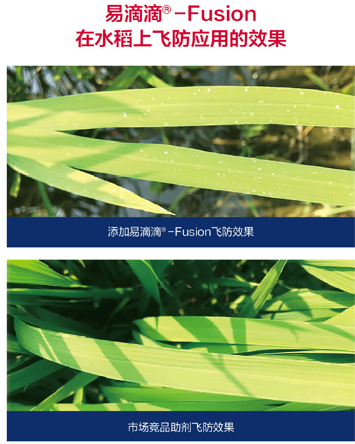 试验对比 试验对比