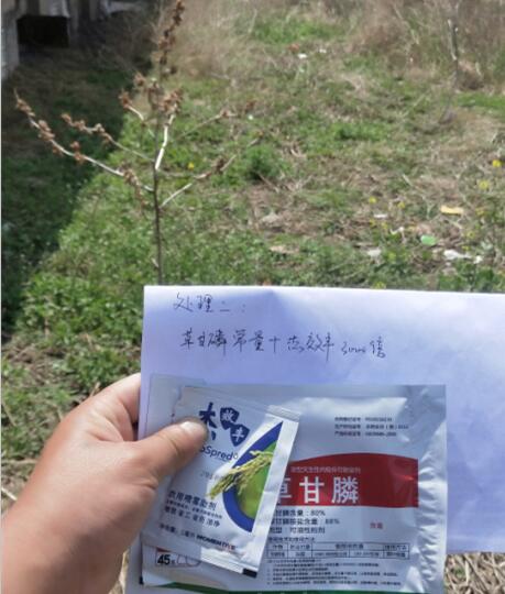 复配草甘膦减量增效