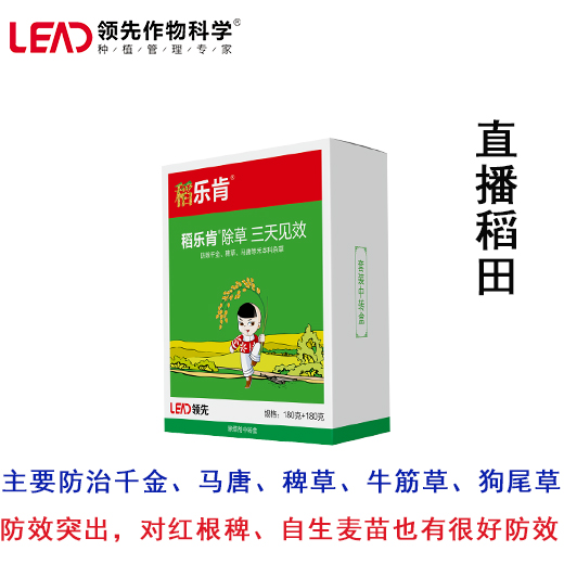 稻乐肯.jpg 稻乐肯.jpg