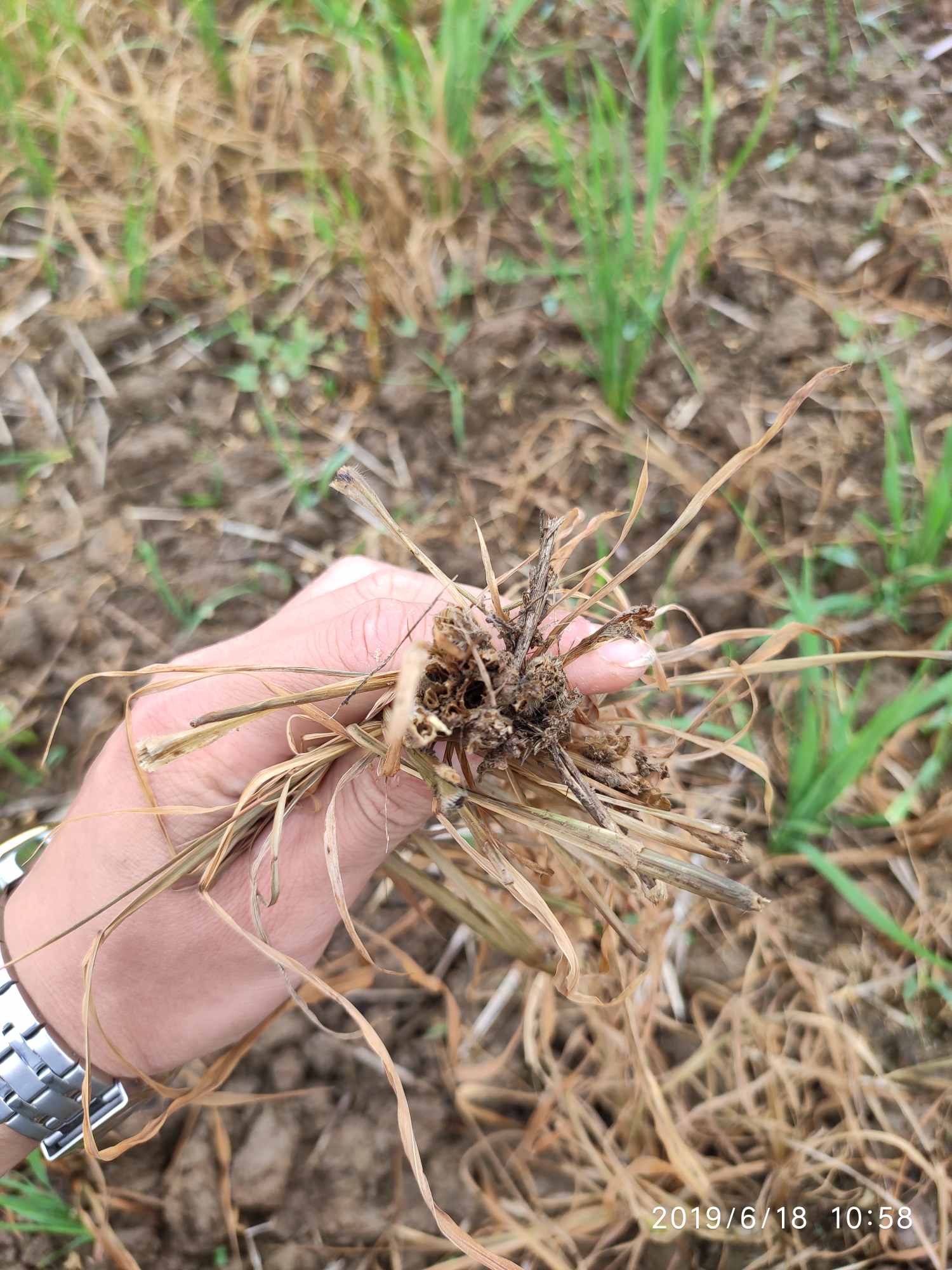 试验结果 试验结果