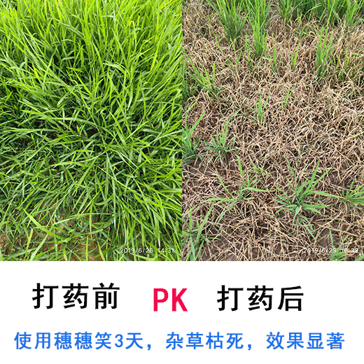 试验前后 试验前后