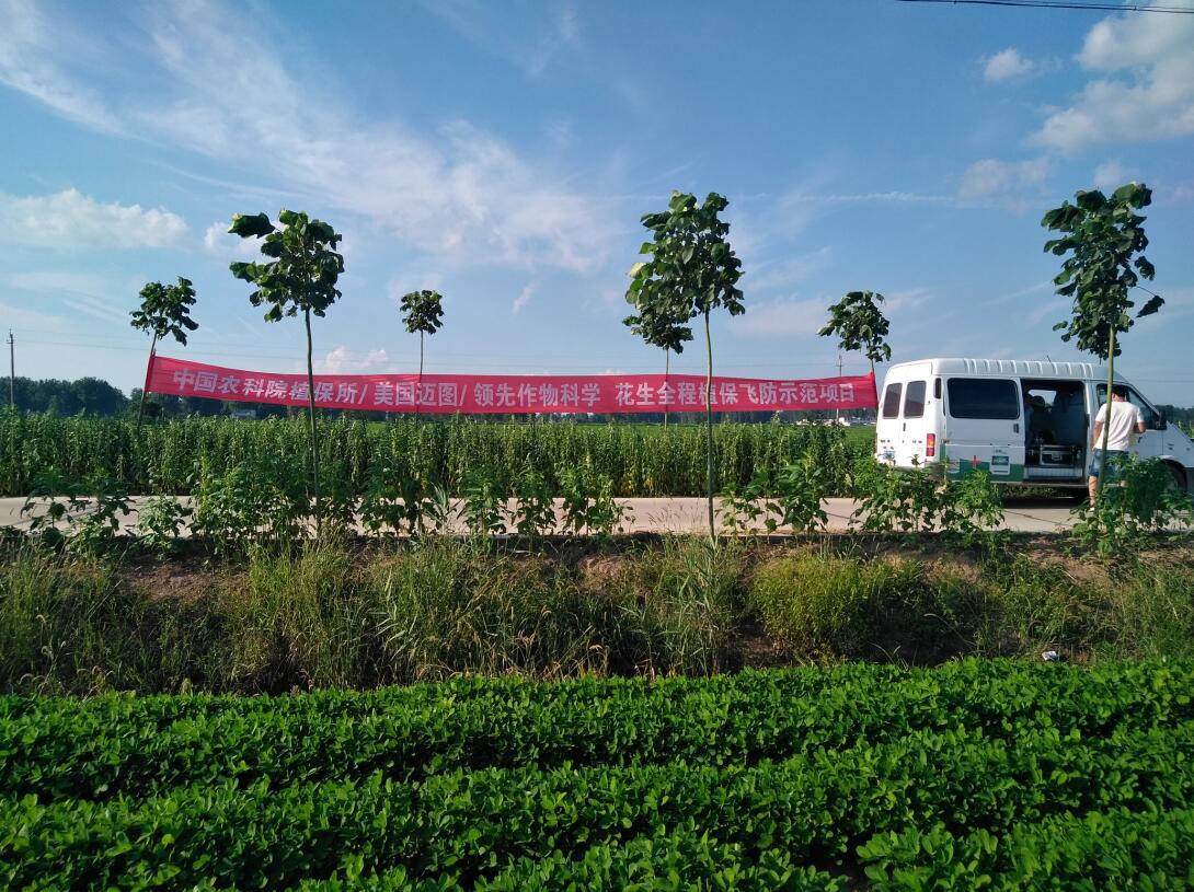 现场图片 现场图片