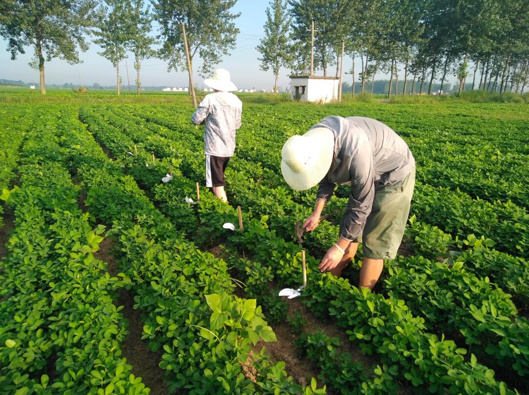 试验雾滴安排 试验雾滴安排