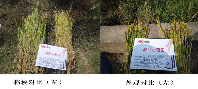 外观对比 (2).jpg 外观对比 (2).jpg