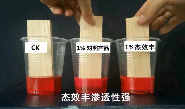 CK，竞品，杰效丰进行木条渗透试验