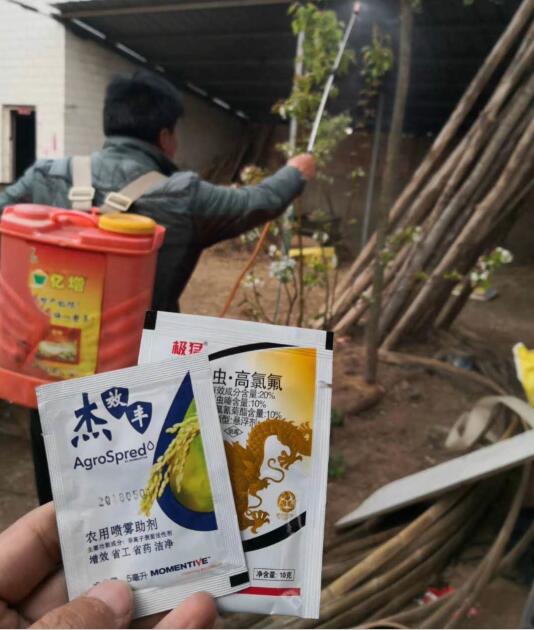 杀虫剂+杰效丰100%防治桃蚜