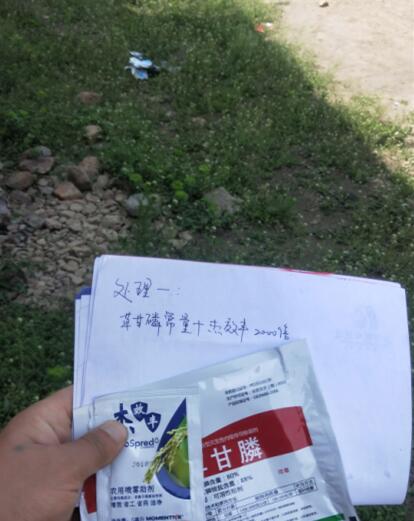 试验前(试验组一) 试验前(试验组一)