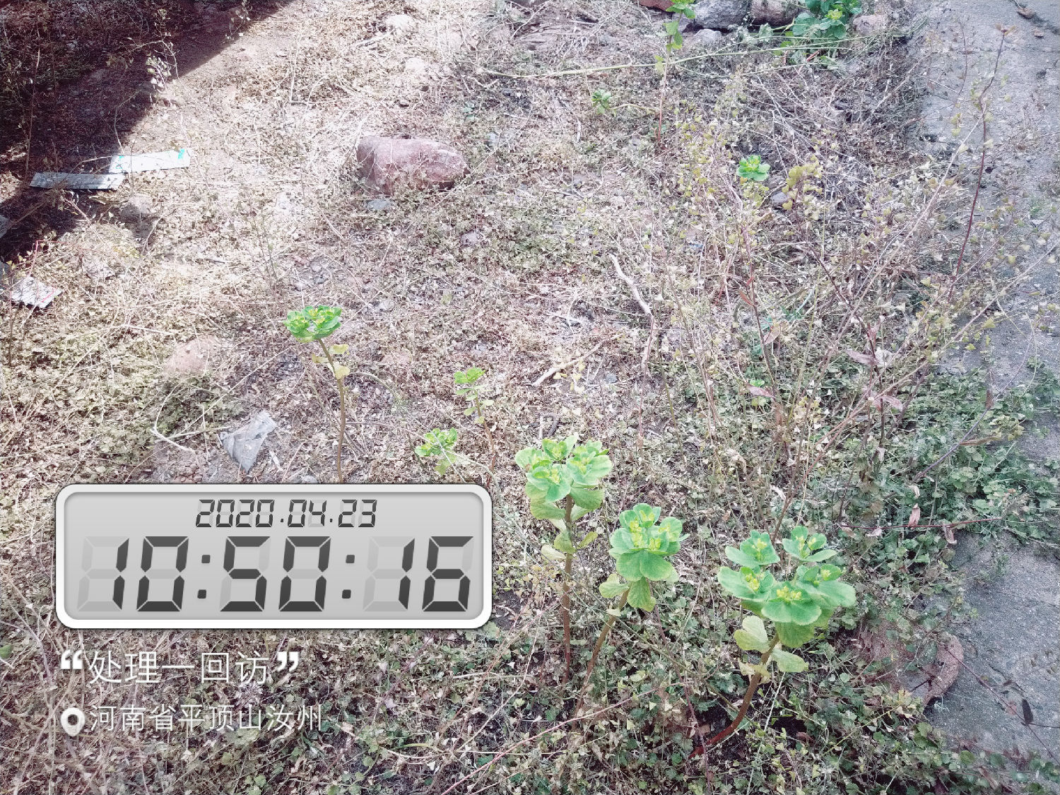 试验后(试验组一) 试验后(试验组一)