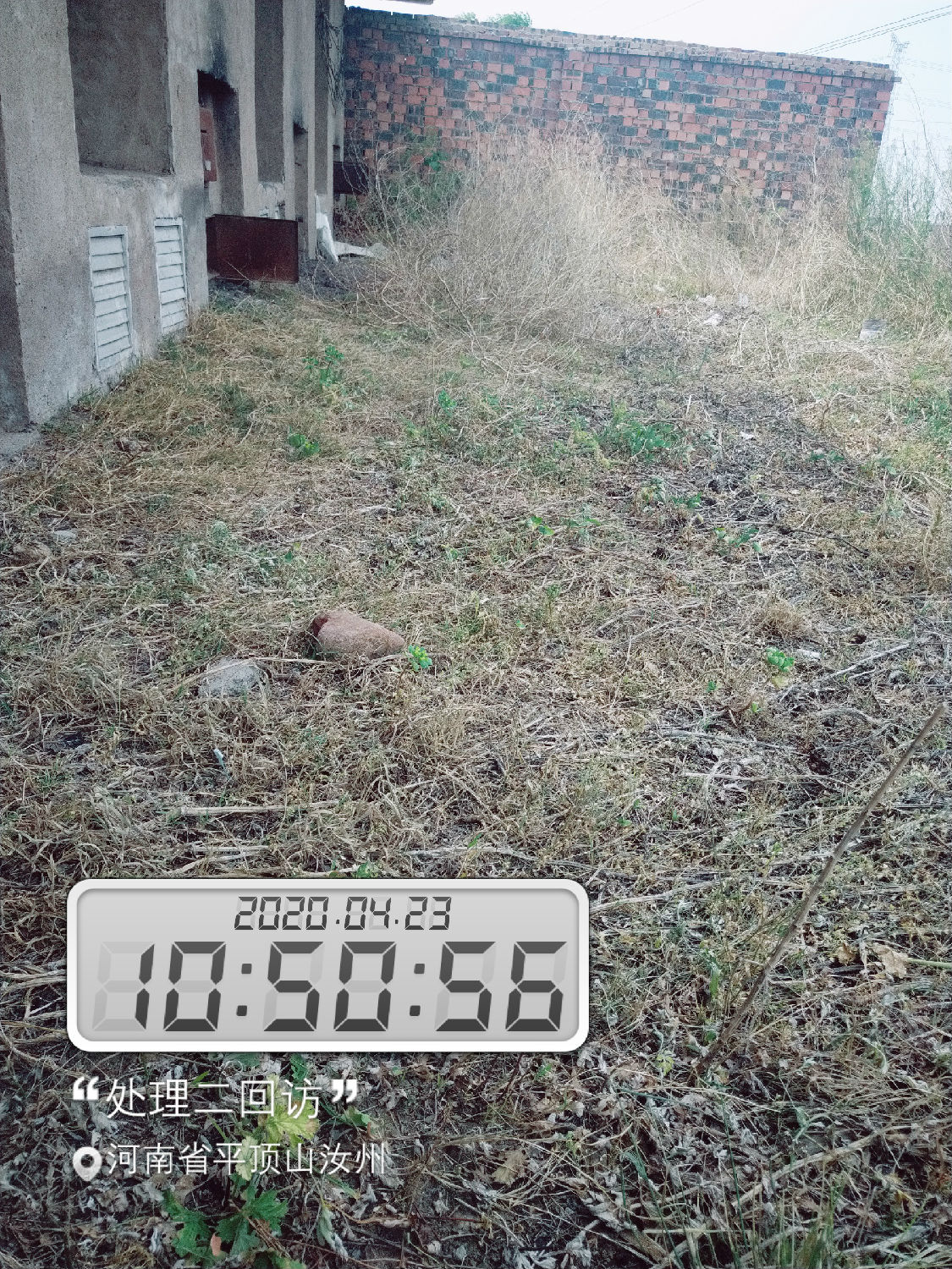 试验前(试验组二) 试验前(试验组二)