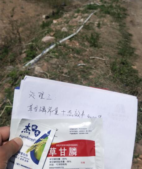 试验前(试验组三) 试验前(试验组三)