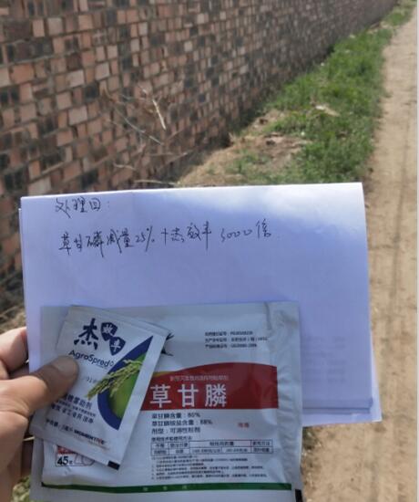 试验前(试验组四) 试验前(试验组四)