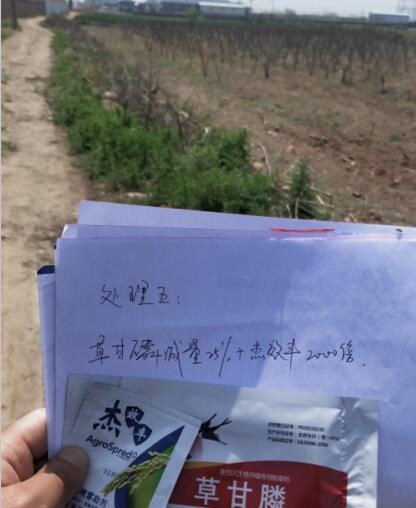 试验前(试验组五) 试验前(试验组五)