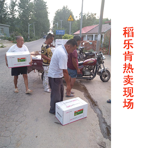 寿县农资店门口 寿县农资店门口