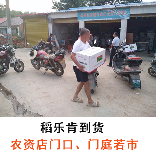 寿县农资店门口 寿县农资店门口