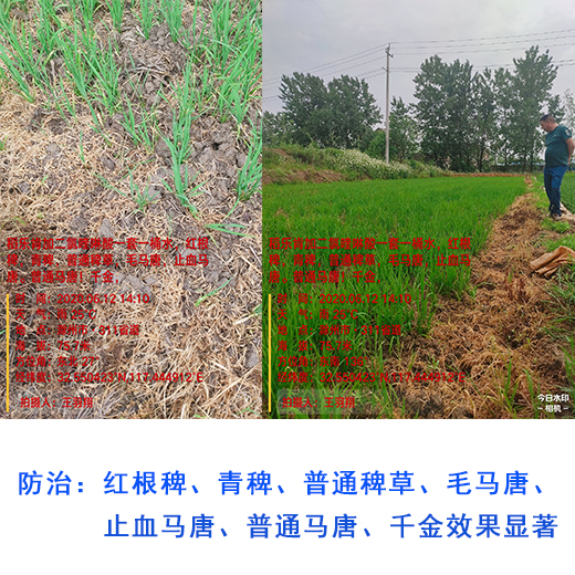 效果对比图 效果对比图