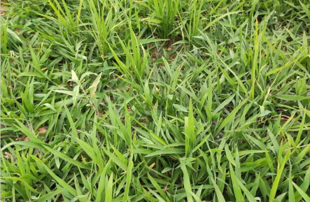 试验前.jpg 试验前.jpg