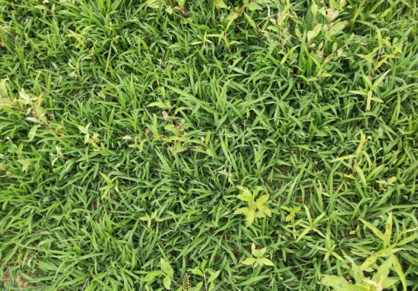 试验前2.jpg 试验前2.jpg