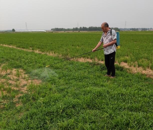 试验进行中.jpg 试验进行中.jpg