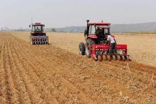 小麦播种 小麦播种