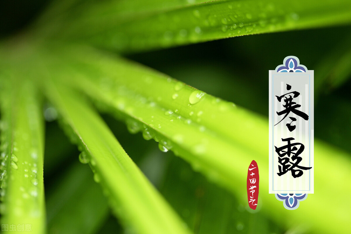 寒露.jpg 寒露.jpg