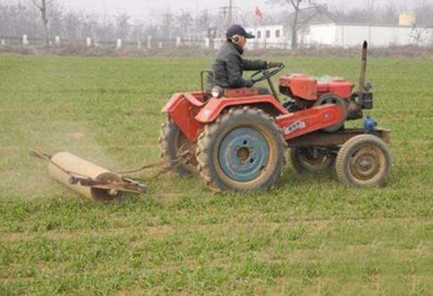 小麦镇压 小麦镇压