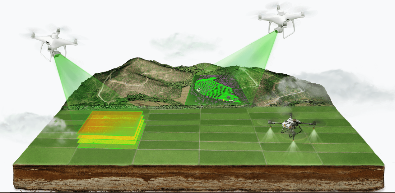 云端农场 云端农场