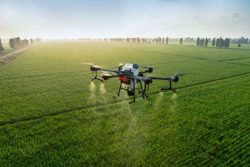 T20打药.jpg T20打药.jpg