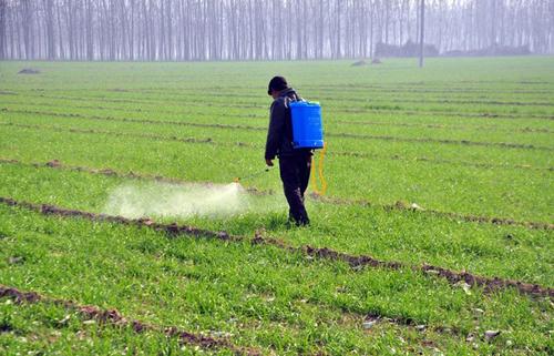 麦田除草剂 麦田除草剂