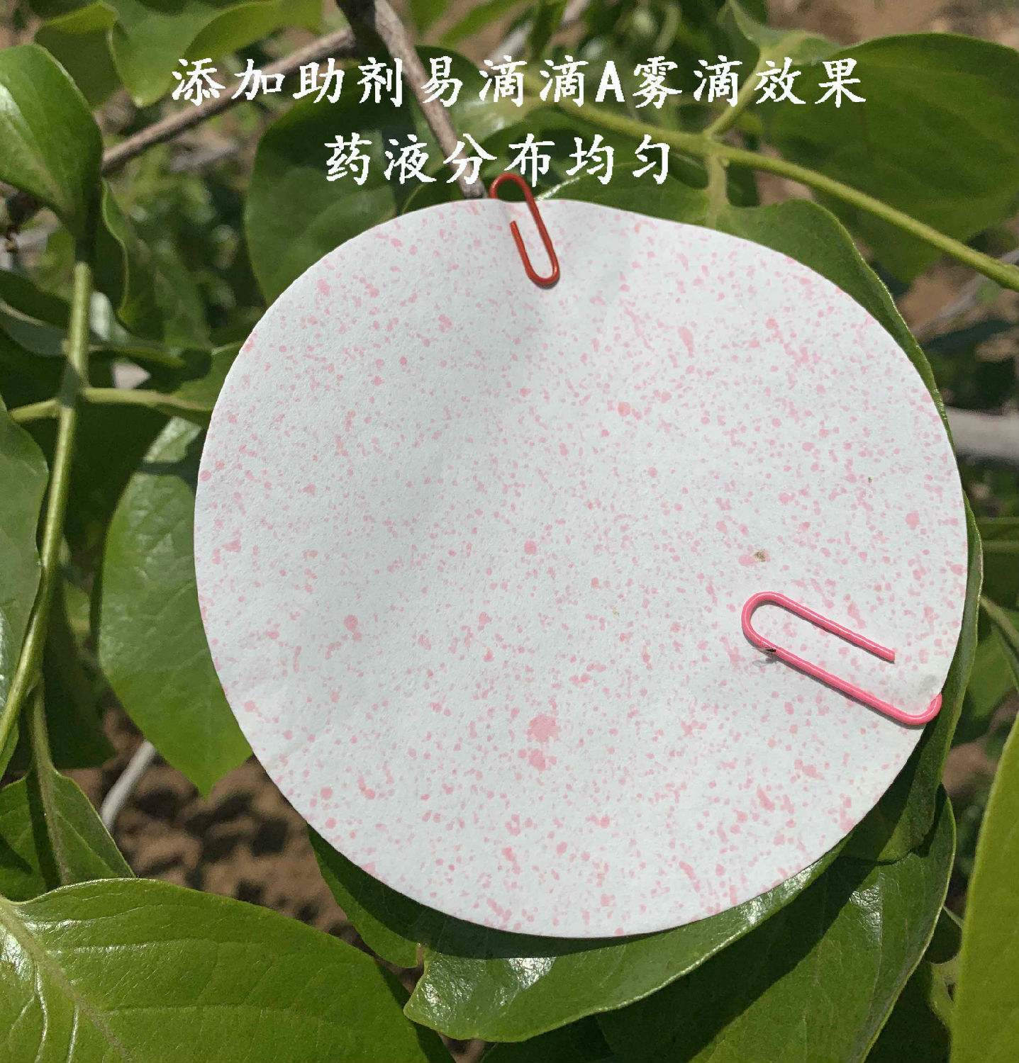 添加助剂 添加助剂