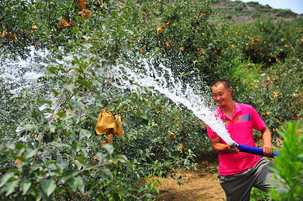 果树.png 果树.png