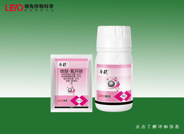 斗艳.png 斗艳.png