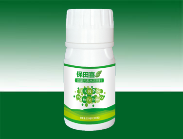 保田喜.png 保田喜.png