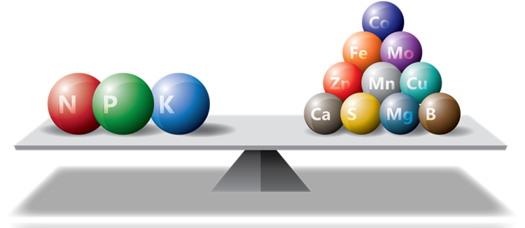 微量元素水溶肥