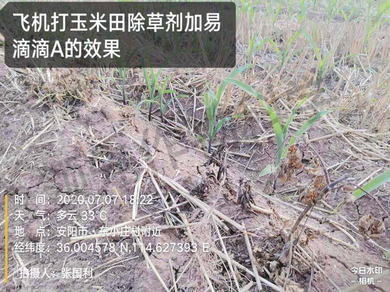 飞防助剂 飞防助剂