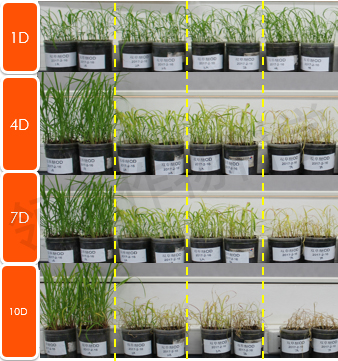 飞防助剂 飞防助剂