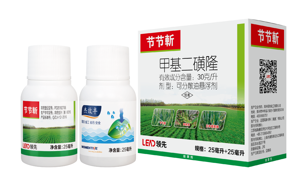 麦田杂草 麦田杂草