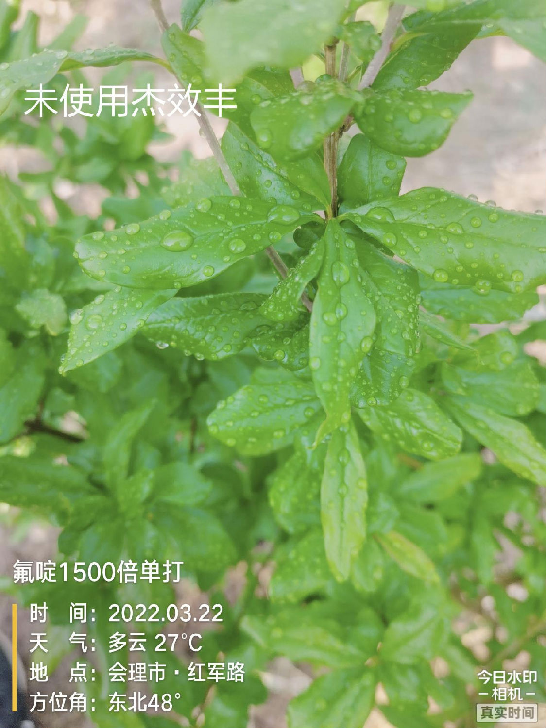 农用增效助剂 农用增效助剂