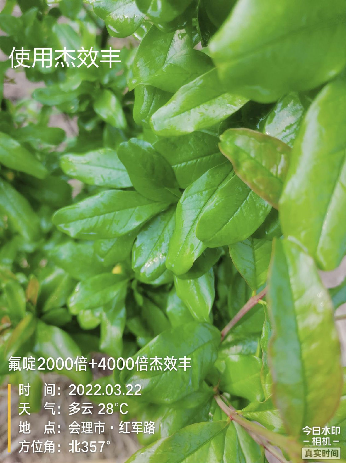 农用增效助剂 农用增效助剂