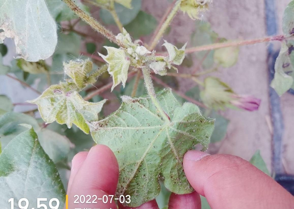 图片1.jpg 图片1.jpg