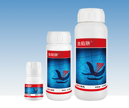 水稻钻心虫 水稻钻心虫