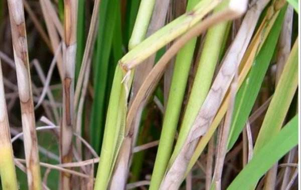 dd0333076b4c4eeb9093d712c418bad7_11.png dd0333076b4c4eeb9093d712c418bad7_11.png