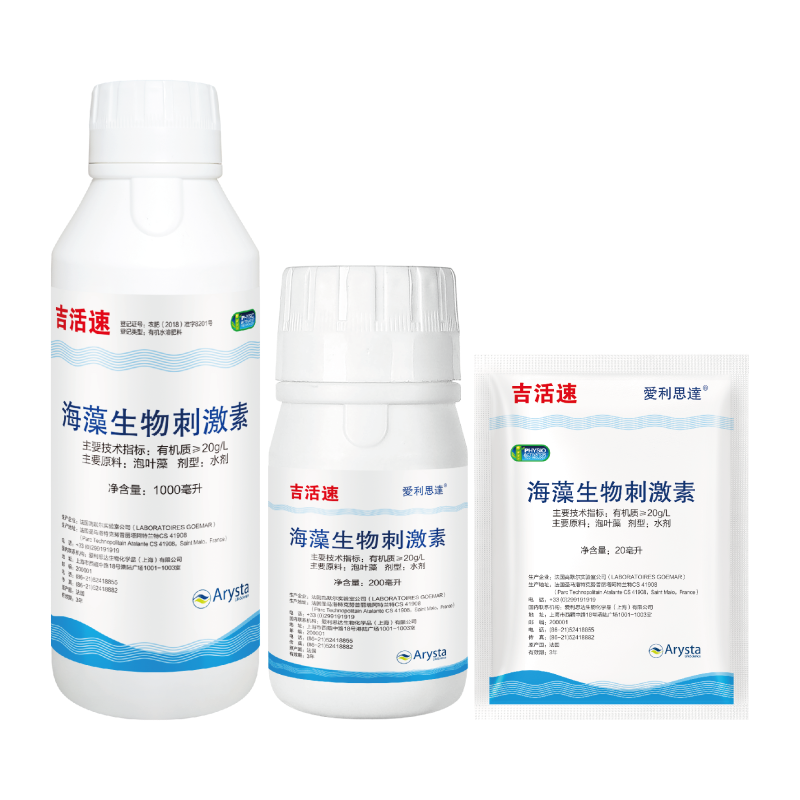 韭菜种植 韭菜种植