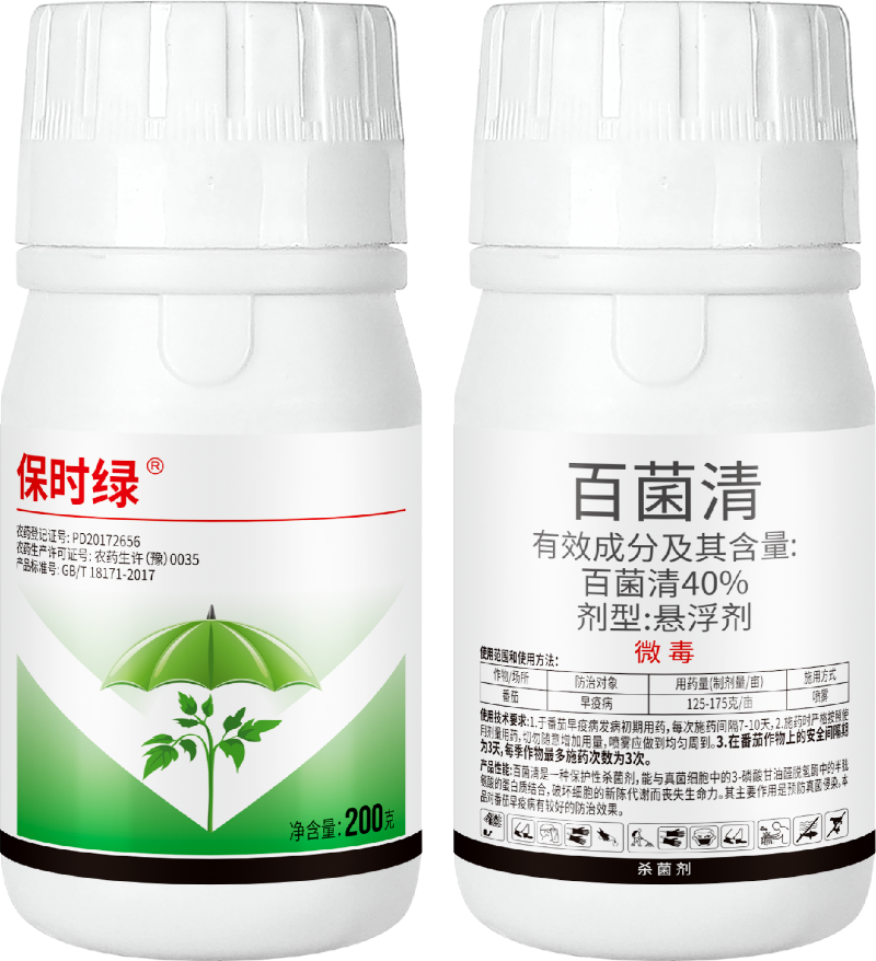 番茄早疫病 番茄早疫病