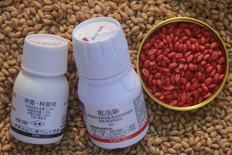 小麦拌种剂 小麦拌种剂