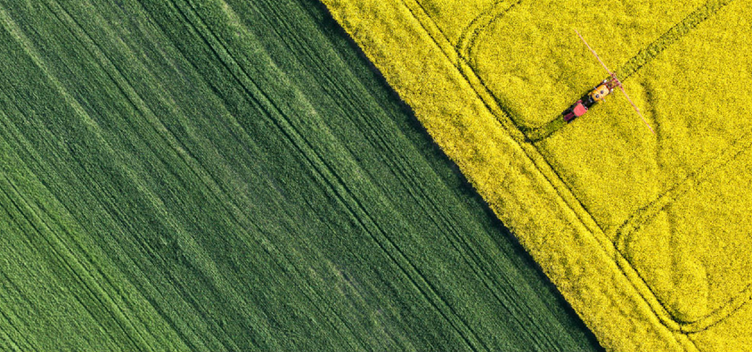 稻田背景.jpg 稻田背景.jpg