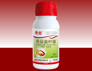 有虫不怕,夹击拿下-夹击 有虫不怕,夹击拿下-夹击